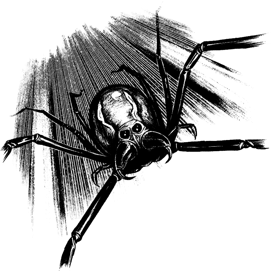 Block Point